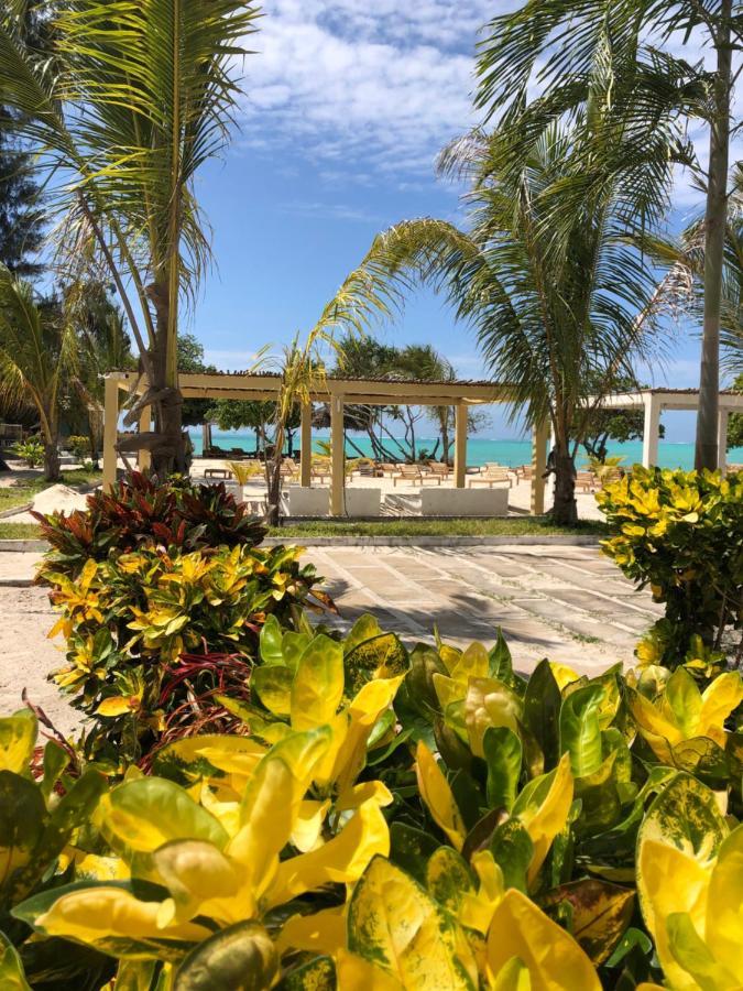 Jambo Hotel